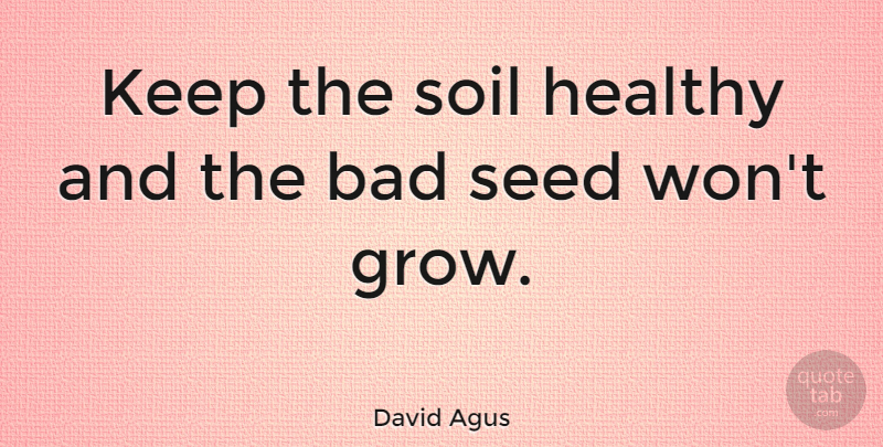 David Agus Quote About Healthy, Soil, Grows: Keep The Soil Healthy And...