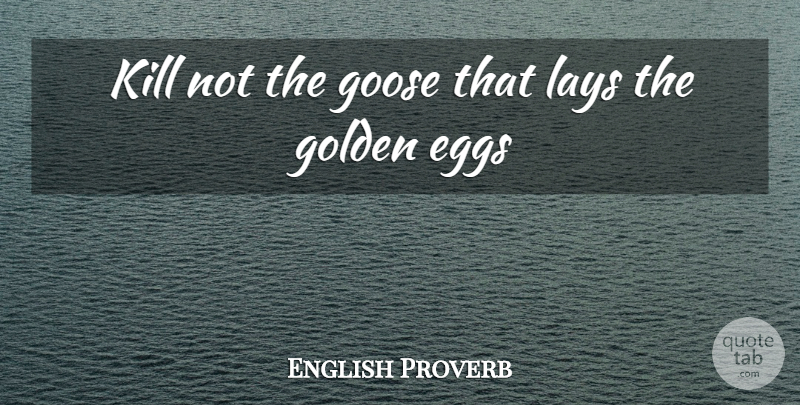 English Proverb Quote About Eggs, Golden, Goose, Lays: Kill Not The Goose That...