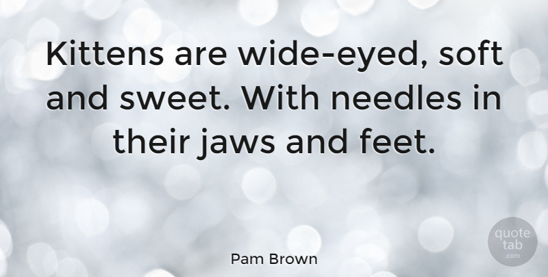 Pam Brown Quote About Sweet, Feet, Pet: Kittens Are Wide Eyed Soft...