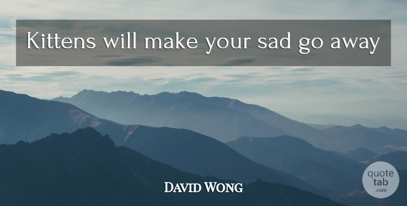 David Wong Quote About Going Away, Kitten: Kittens Will Make Your Sad...