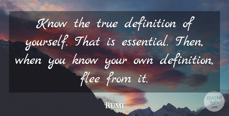 Rumi Quote About Definitions, Essentials, Chaos: Know The True Definition Of...