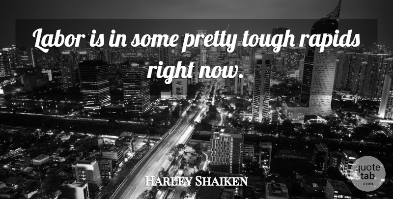 Harley Shaiken Quote About Labor, Tough: Labor Is In Some Pretty...
