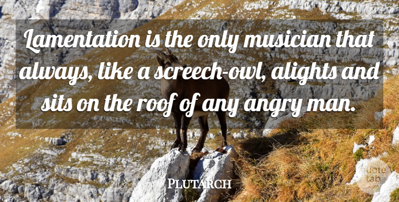 Plutarch Quote About Anger, Men, Angry Man: Lamentation Is The Only Musician...
