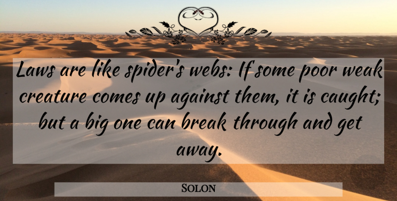 Solon Quote About Law, Break Through, Spiders: Laws Are Like Spiders Webs...