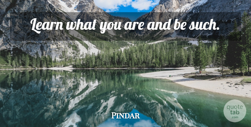 Pindar Quote About Learning: Learn What You Are And...