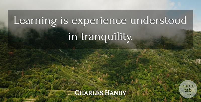 Charles Handy Quote About Learning, Tranquility, Understood: Learning Is Experience Understood In...