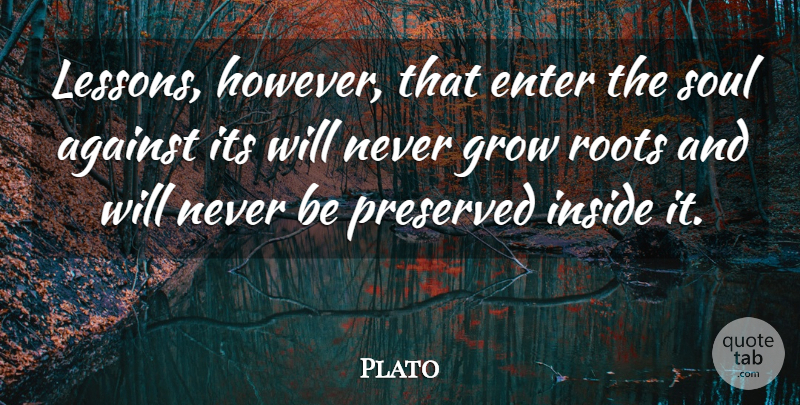 Plato Quote About Education, School, Roots: Lessons However That Enter The...