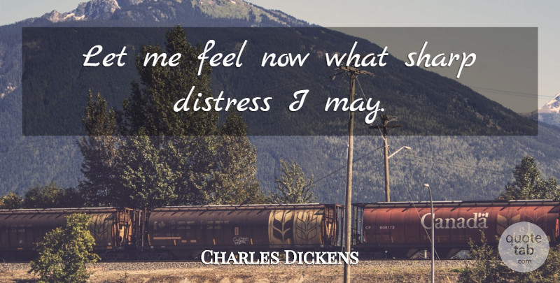 Charles Dickens Quote About Great Expectations, May, Let Me: Let Me Feel Now What...