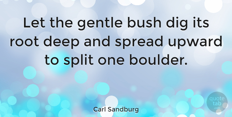 Carl Sandburg Quote About Bush, Dig, Gentle, Nature, Split: Let The Gentle Bush Dig...