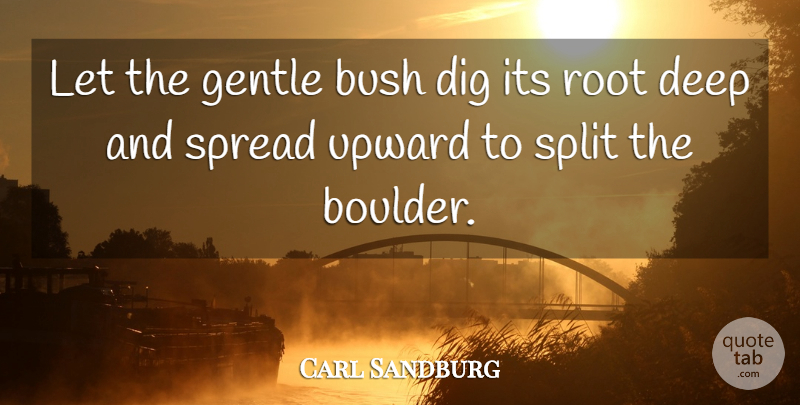 Carl Sandburg Quote About Inspirational, Patience, Nature: Let The Gentle Bush Dig...