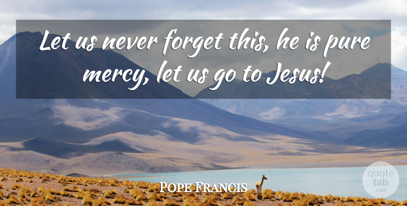 Pope Francis Quote About Jesus, Never Forget, Mercy: Let Us Never Forget This...