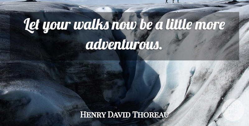 Henry David Thoreau Quote About Littles, Adventurous, Walks: Let Your Walks Now Be...