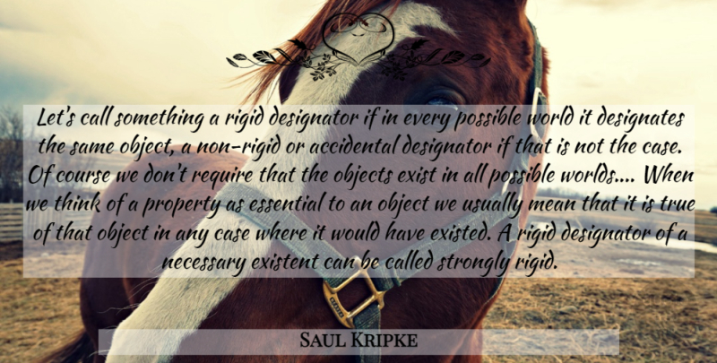 Saul Kripke Quote About Mean, Thinking, World: Lets Call Something A Rigid...
