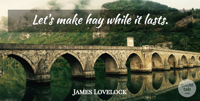 James Lovelock Quote About Hay, Lasts: Lets Make Hay While It...