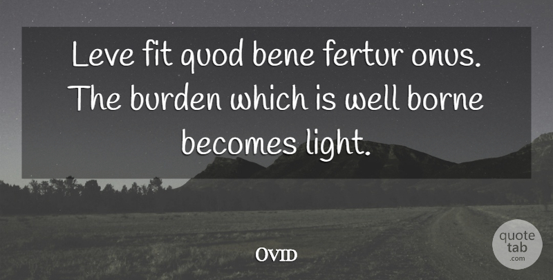 Ovid Quote About Courage, Light, Fit: Leve Fit Quod Bene Fertur...