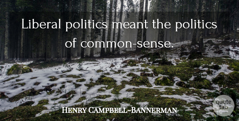 Henry Campbell-Bannerman Quote About Common Sense, Common: Liberal Politics Meant The Politics...
