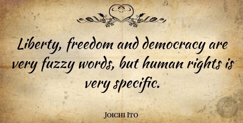 Joichi Ito Quote About Rights, Liberty, Democracy: Liberty Freedom And Democracy Are...