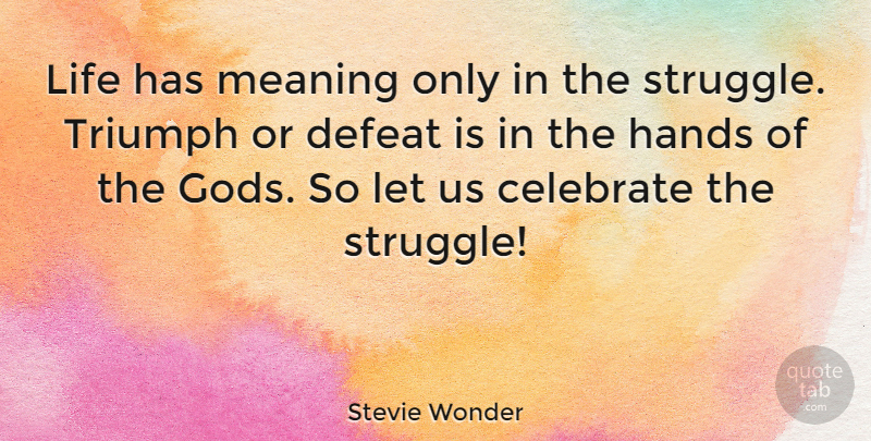 Stevie Wonder Quote About Life, Song, Struggle: Life Has Meaning Only In...