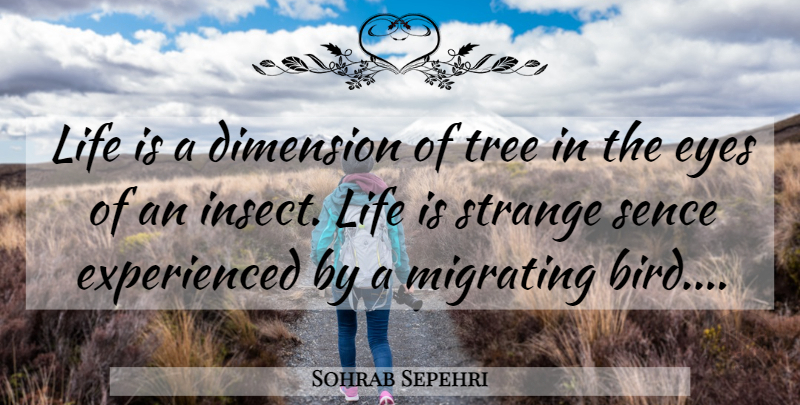 Sohrab Sepehri Quote About Dimension, Eyes, Life, Strange, Tree: Life Is A Dimension Of...