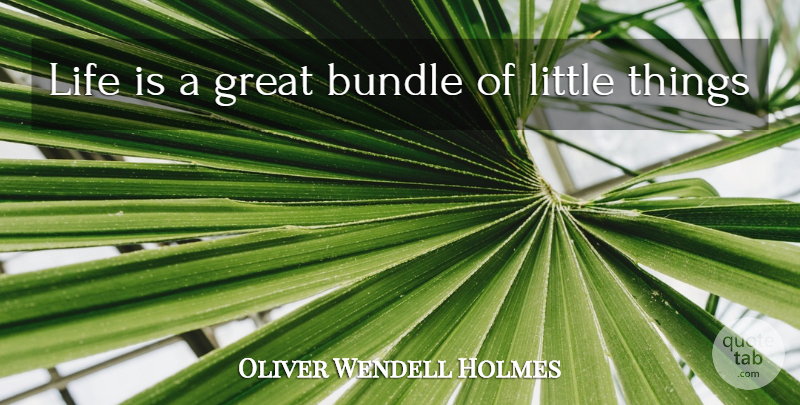 Oliver Wendell Holmes Quote About Bundle, Great, Life: Life Is A Great Bundle...