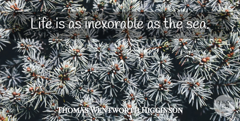 Thomas Wentworth Higginson Quote About Sea, Water, Life Is: Life Is As Inexorable As...