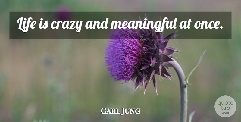 Carl Jung Quote About Meaningful, Crazy, Life Is: Life Is Crazy And Meaningful...