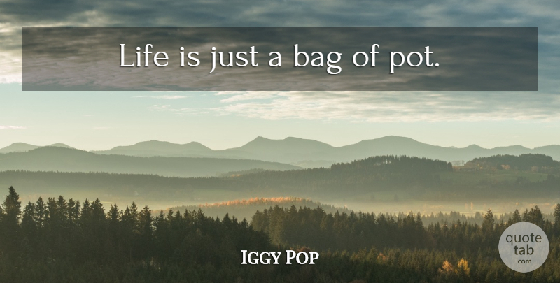 Iggy Pop Quote About Philosophy, Bags, Life Is: Life Is Just A Bag...