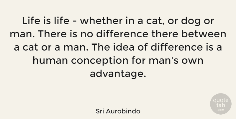 Sri Aurobindo Quote About Dog, Philosophical, Cat: Life Is Life Whether In...
