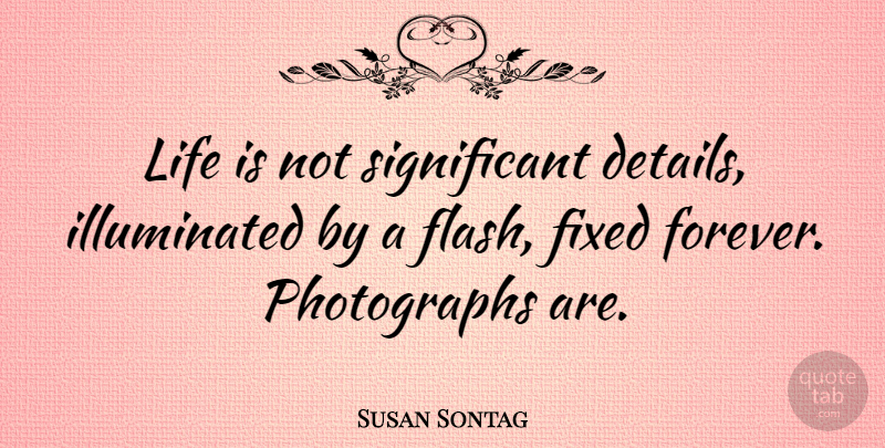 Susan Sontag Quote About Forever, Details, Life Is: Life Is Not Significant Details...