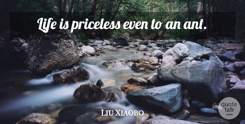 Liu Xiaobo Quote About Ants, Priceless, Life Is: Life Is Priceless Even To...