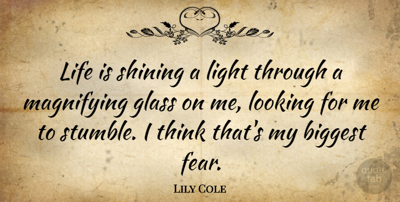 Lily Cole Quote About Biggest, Fear, Glass, Life, Looking: Life Is Shining A Light...