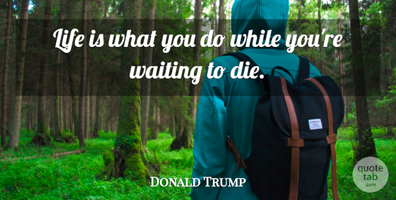 Donald Trump Quote About Life, Waiting, Life Is: Life Is What You Do...