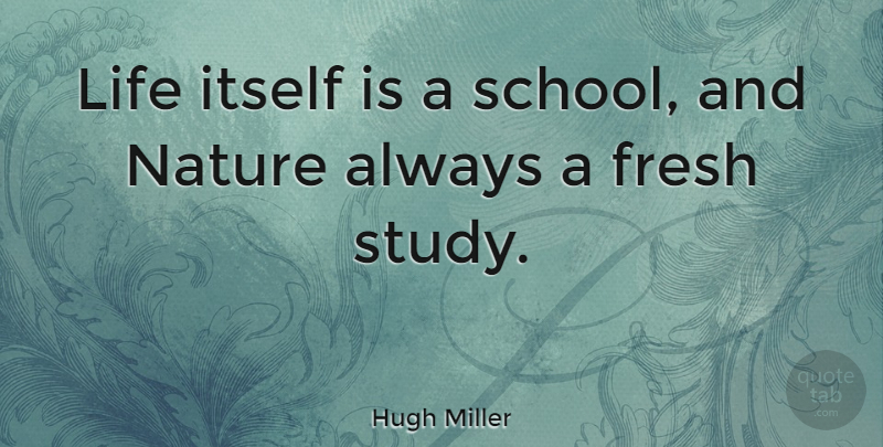 Hugh Miller Quote About School, Study, School Life: Life Itself Is A School...
