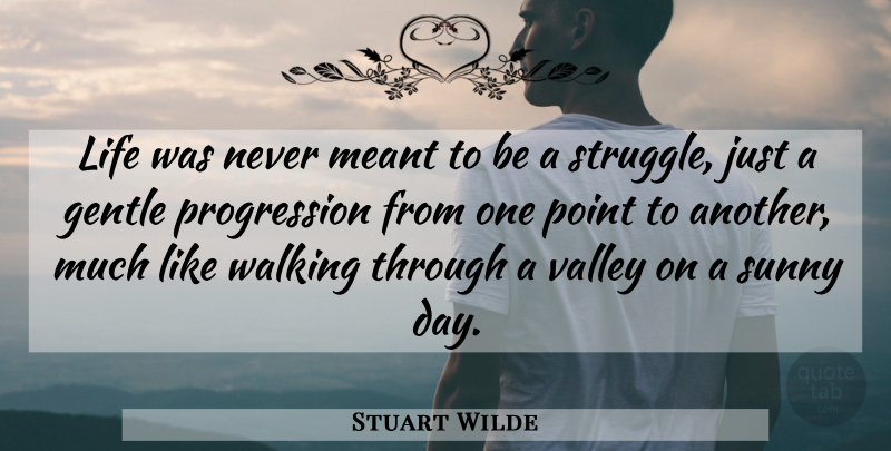 Stuart Wilde Quote About Struggle, Valleys, Sunny Day: Life Was Never Meant To...