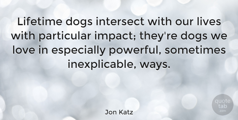 Jon Katz Quote About Dogs, Lifetime, Lives, Love, Particular: Lifetime Dogs Intersect With Our...