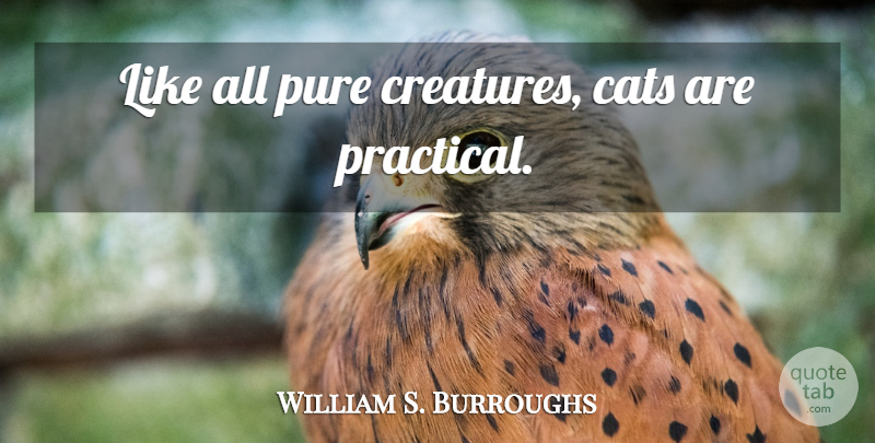 William S. Burroughs Quote About Cat, Pet, Individualism: Like All Pure Creatures Cats...