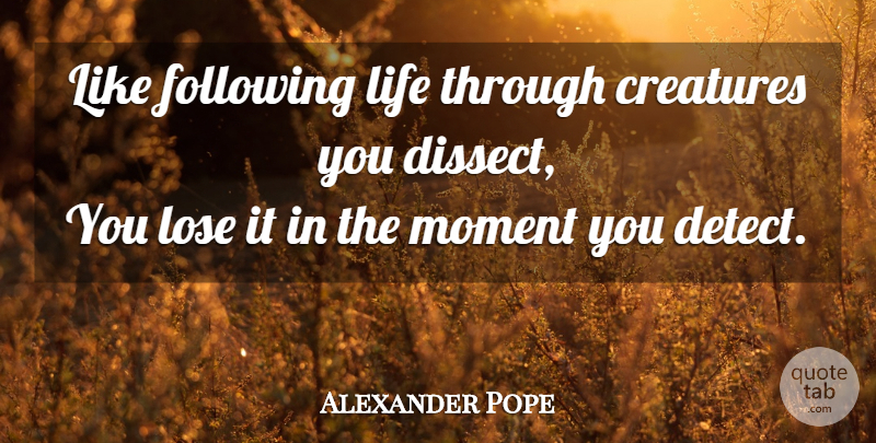 Alexander Pope Quote About Life, Moments, Creatures: Like Following Life Through Creatures...