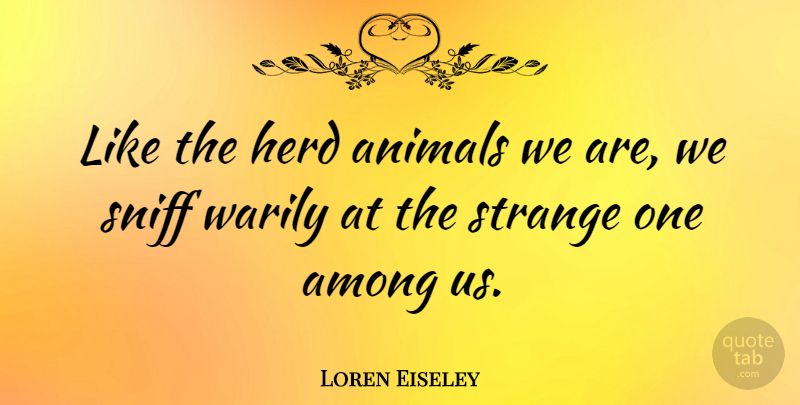 Loren Eiseley Quote About Animal, Strange, Herds: Like The Herd Animals We...