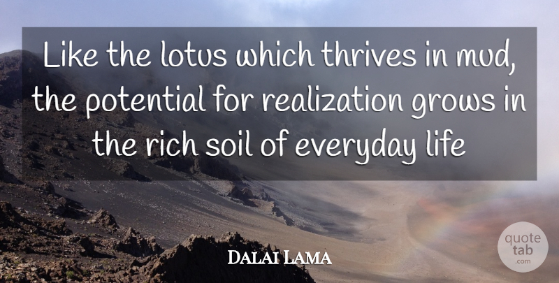 Dalai Lama Quote About Everyday, Realization, Mud: Like The Lotus Which Thrives...
