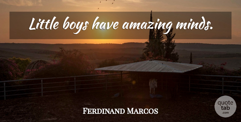 Ferdinand Marcos Quote About Boys, Mind, Littles: Little Boys Have Amazing Minds...
