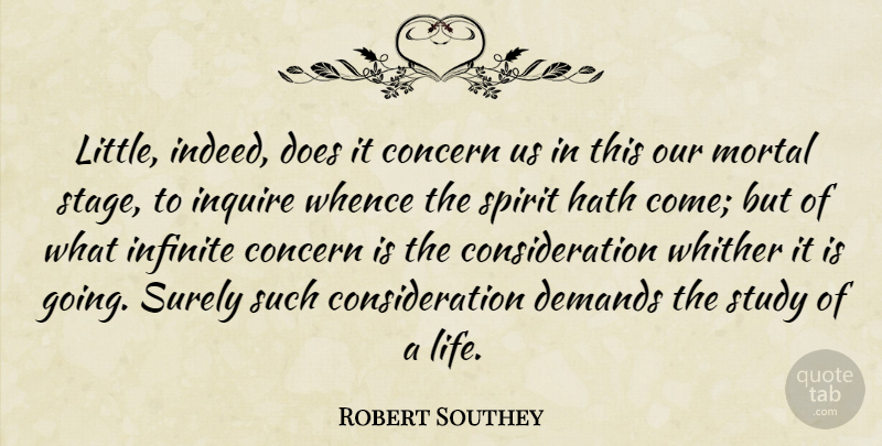Robert Southey Quote About Demand, Littles, Doe: Little Indeed Does It Concern...