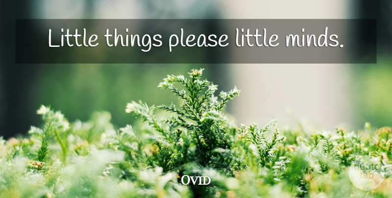 Ovid Quote About Mind, Littles, Little Things: Little Things Please Little Minds...
