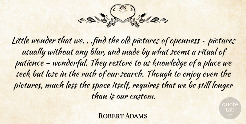 Robert Adams Quote About Photography, Space, Littles: Little Wonder That We Find...