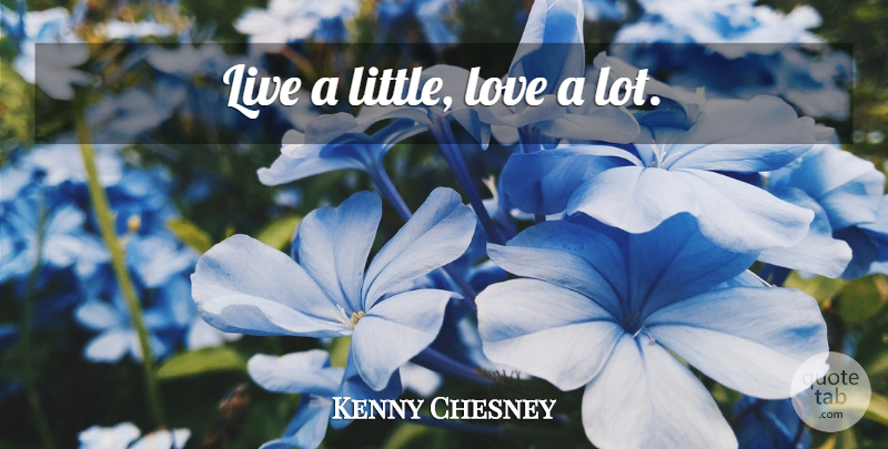 Kenny Chesney Quote About Littles, Little Love: Live A Little Love A...