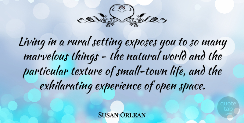 Susan Orlean Quote About Space, Texture, World: Living In A Rural Setting...