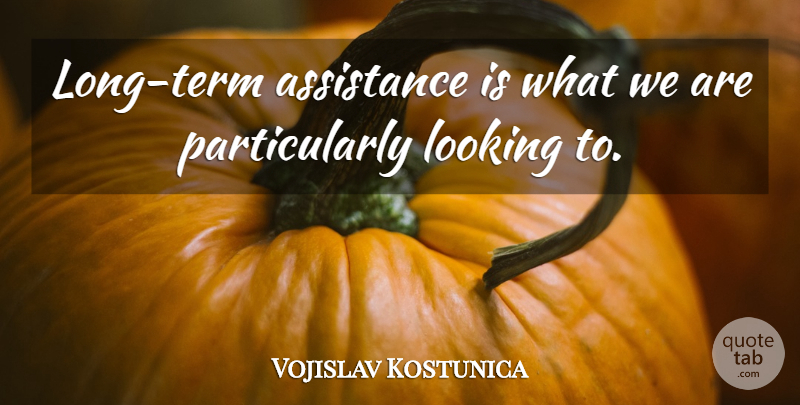 Vojislav Kostunica Quote About Assistance, Looking: Long Term Assistance Is What...