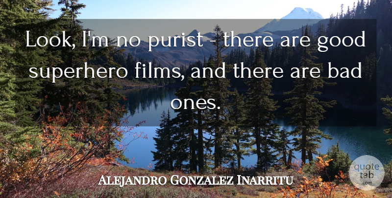 Alejandro Gonzalez Inarritu Quote About Bad, Good, Superhero: Look Im No Purist There...