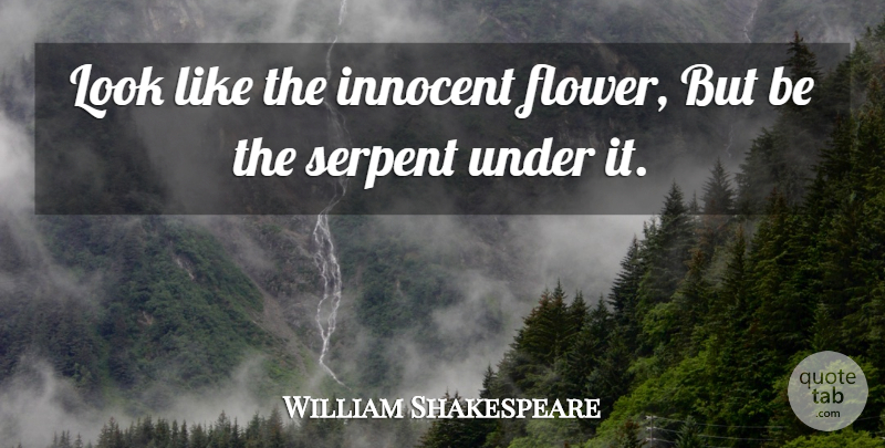 William Shakespeare Quote About Flower, Advice, Lady Macbeth: Look Like The Innocent Flower...