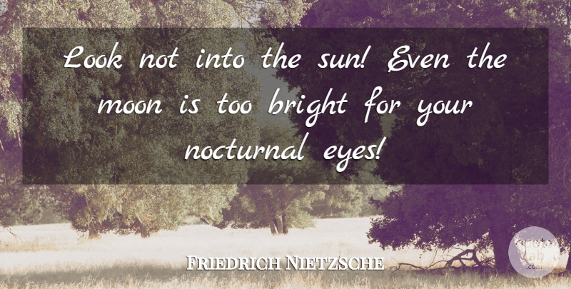 Friedrich Nietzsche Quote About Truth, Eye, Moon: Look Not Into The Sun...