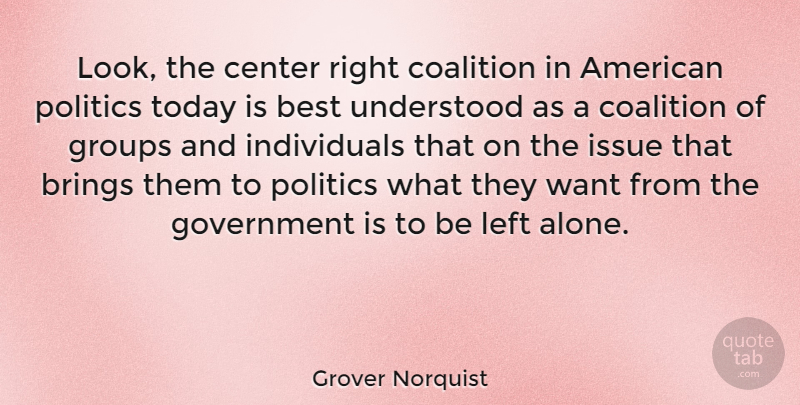 Grover Norquist Quote About Government, Issues, Looks: Look The Center Right Coalition...